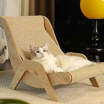 How to Create a Safe and Fun Home Environment for Your Pets