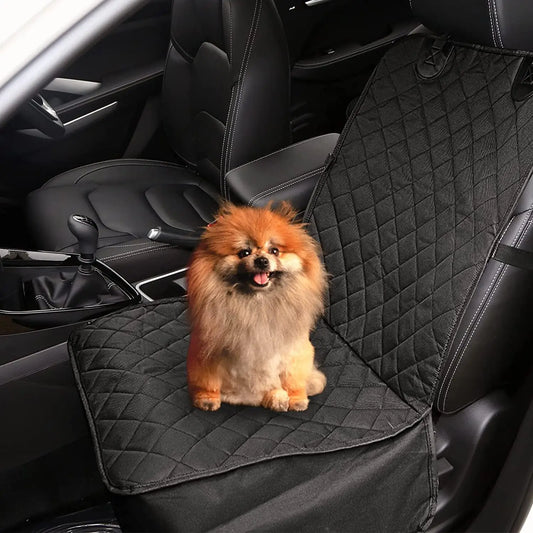 Top 10 Must-Have Products for Happy and Healthy Pets in 2026