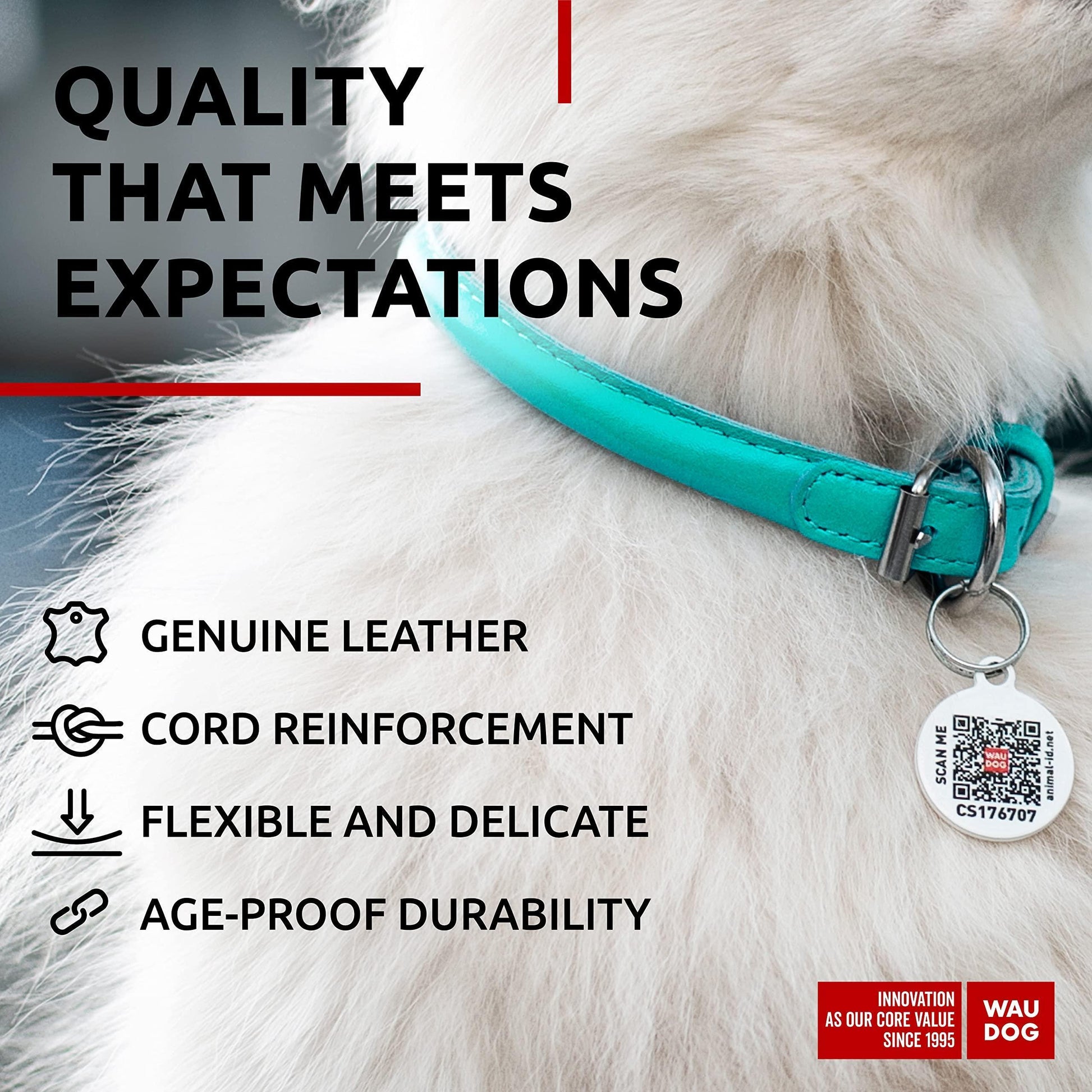 Ultra Soft Rolled Leather Dog Collar for Small Dogs Mint 8 10 Inch Neck Soft