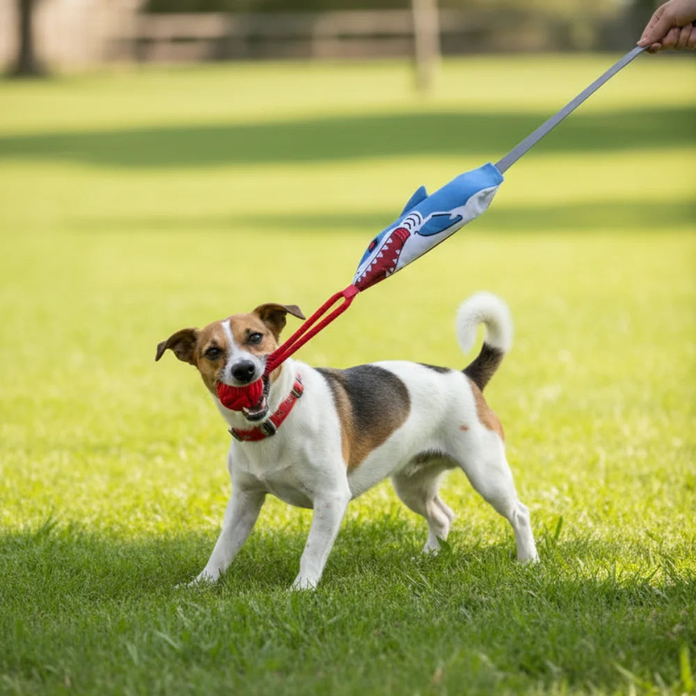 Shark Rope Tug Toy with Suction Cup: Squeaky Interactive Chew for Puppies & Small Dogs - Self-Play & Teething with Secure Mount