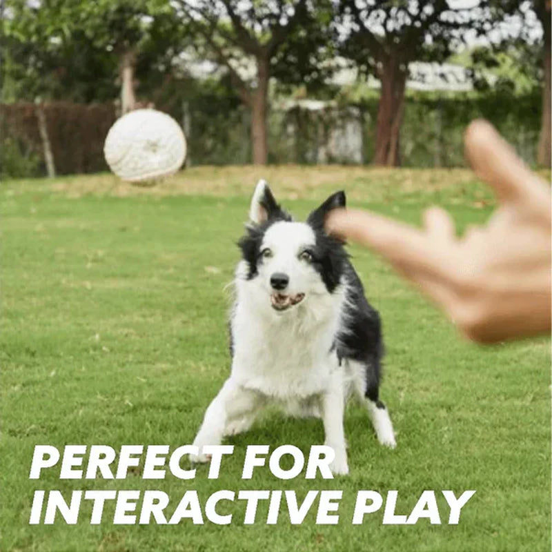 Chew Ball - Immortal Toy for Aggressive Chewers