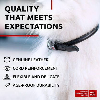 Ultra Soft Rolled Leather Dog Collar 8-10 Inch for Small Dogs Soft Padded Dog Collars for Medium Dogs Puppy Collars for Large Breed Dogs Male and Female Dog Collar