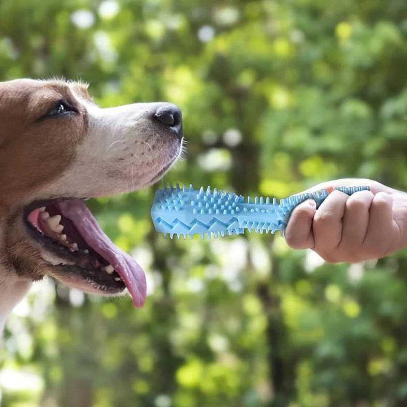 Dog Dental Chew Stick Toy – Tooth Cleaning & Gum Massage Toy for Dogs