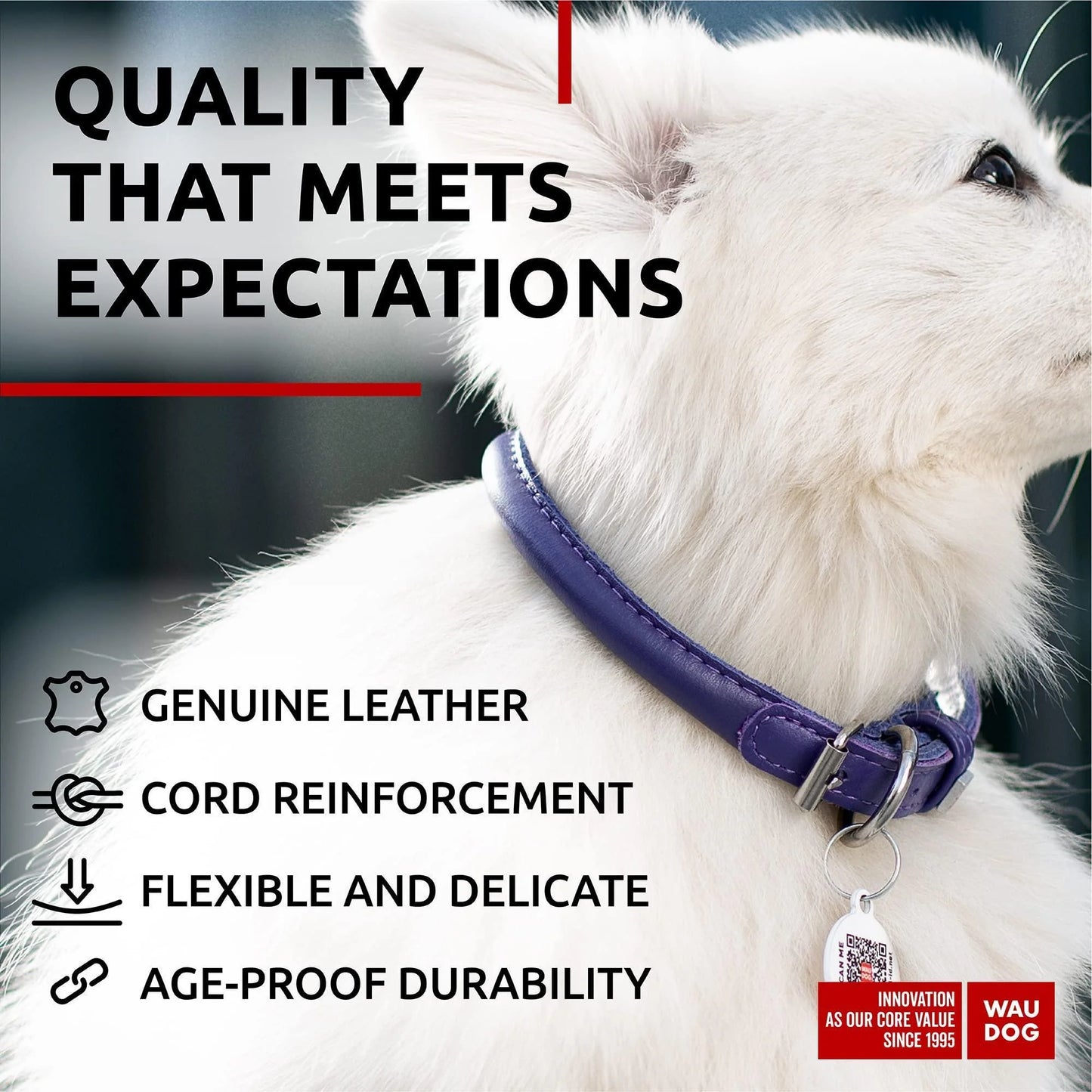 Ultra Soft Rolled Leather Dog Collar 8-10 Inch Neck for Small Dogs Soft Padded Dog Collars for Medium Dogs Puppy Collars for Large Breed Dogs Male and Female Dog Collar