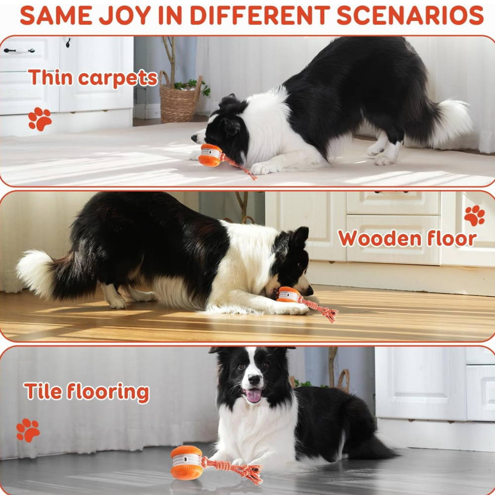 Smart Rolling Interactive Ball Toy