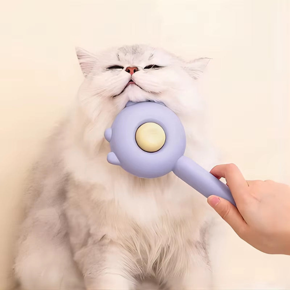 Three Colors Pet Comb One-Key Hair Removal Cleaning Brush Magic Massage Grooming the Cat Hair Brush Is Easy to Carry and Clean