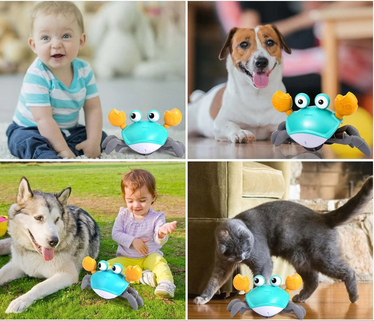 Interactive Crawling Crab Dog Toy – Engaging Play for All Breeds