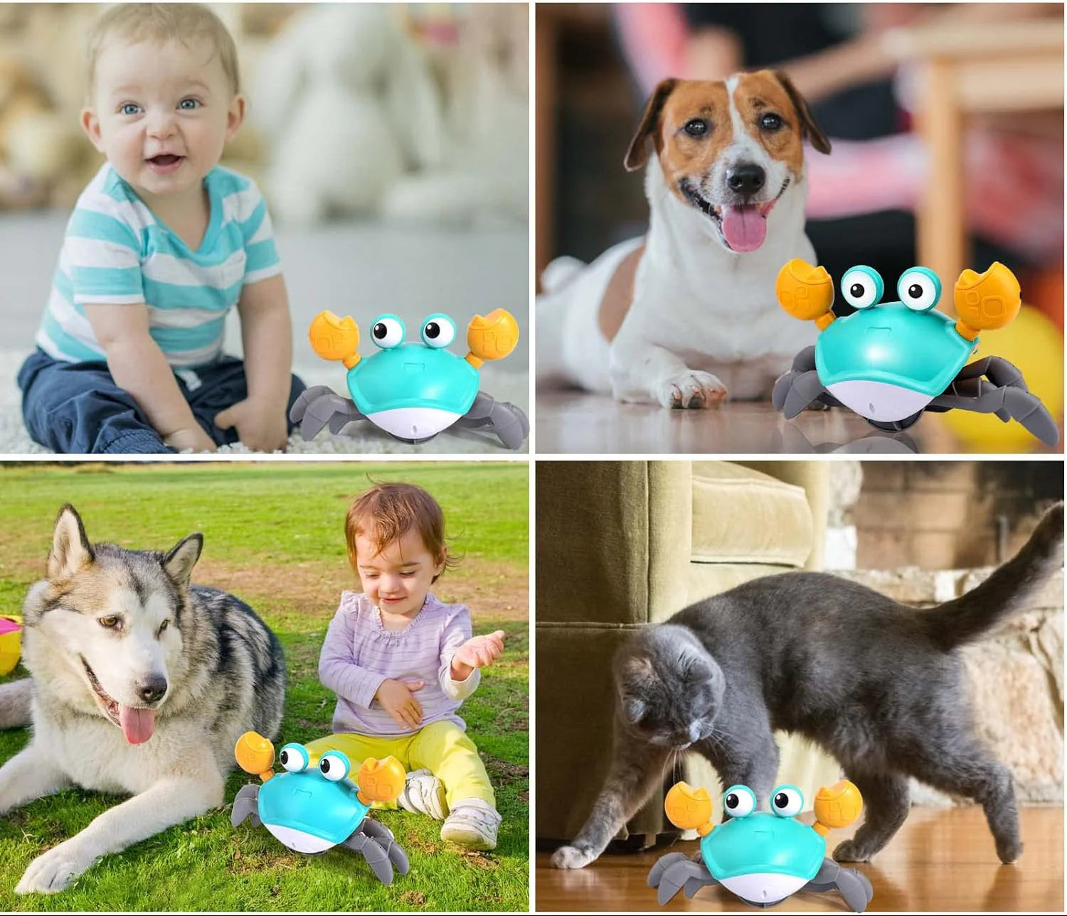 Interactive Crawling Crab Dog Toy – Engaging Play for All Breeds
