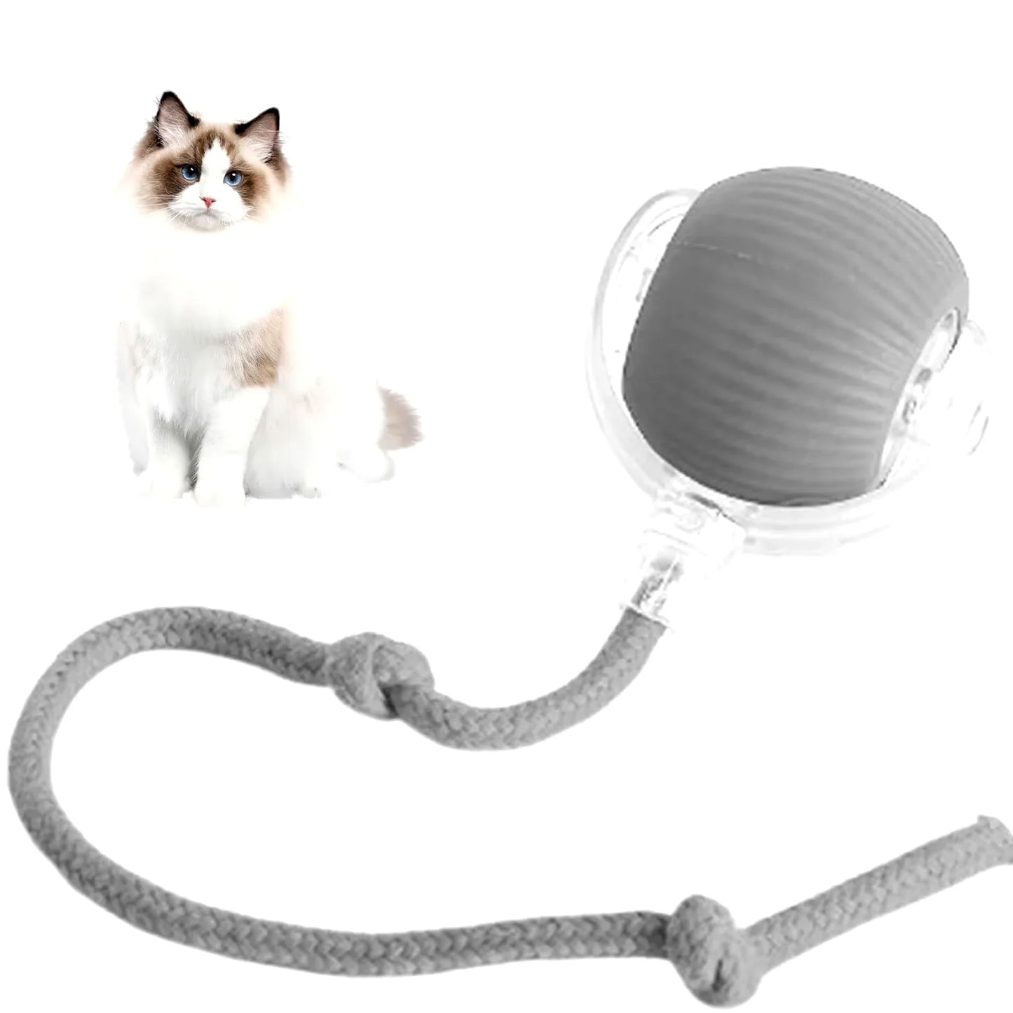 Interactive Rechargeable Cat and Dog Rolling Ball Toy - Smart Pet Entertainment 2024