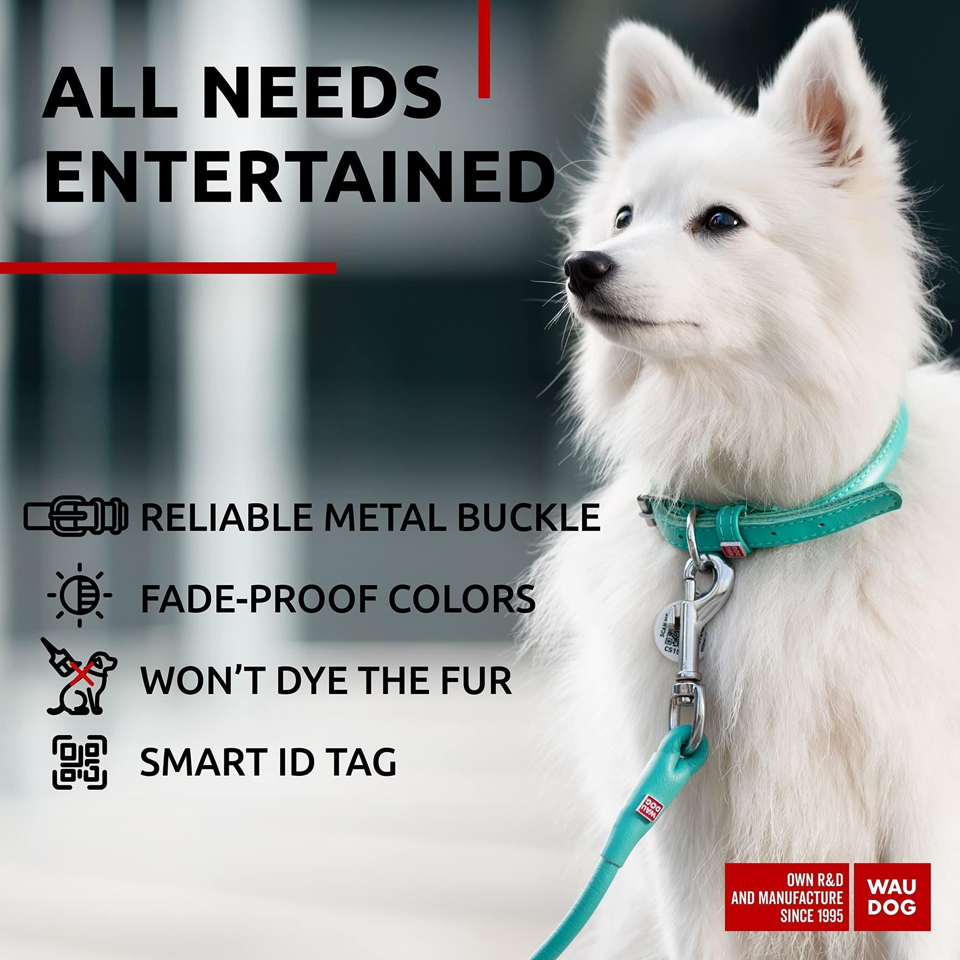 Ultra Soft Rolled Leather Dog Collar for Small Dogs Mint 8 10 Inch Neck Soft