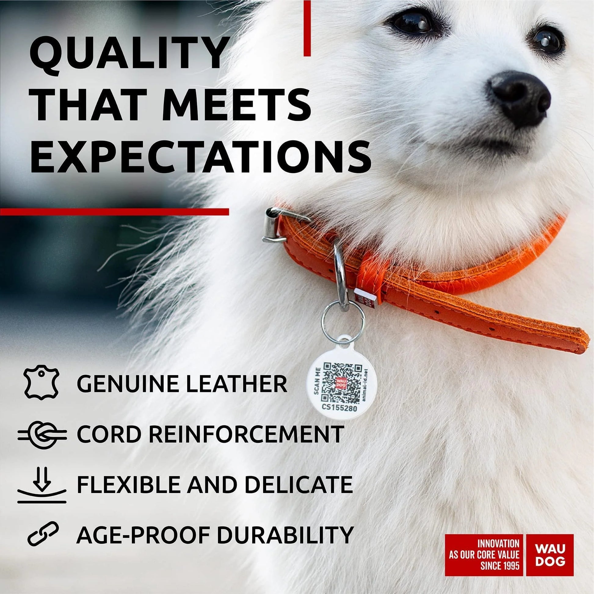 Orange Ultra Soft Rolled Leather Dog Collar for Xsmall Dogs 8 - 10 Inch Neck