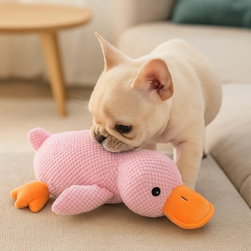 Quackpaw™ Squeaky Duck Dog Toy