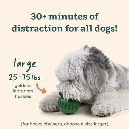 Pupsicle and Treat Tray Long-Lasting Interactive Dog Ball Toy and Silicone Dog Treat Mold Keep Your Pup Busy Easy to Clean Toys