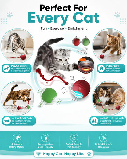 Smart Interactive Cat Ball – Rechargeable Automatic Toy