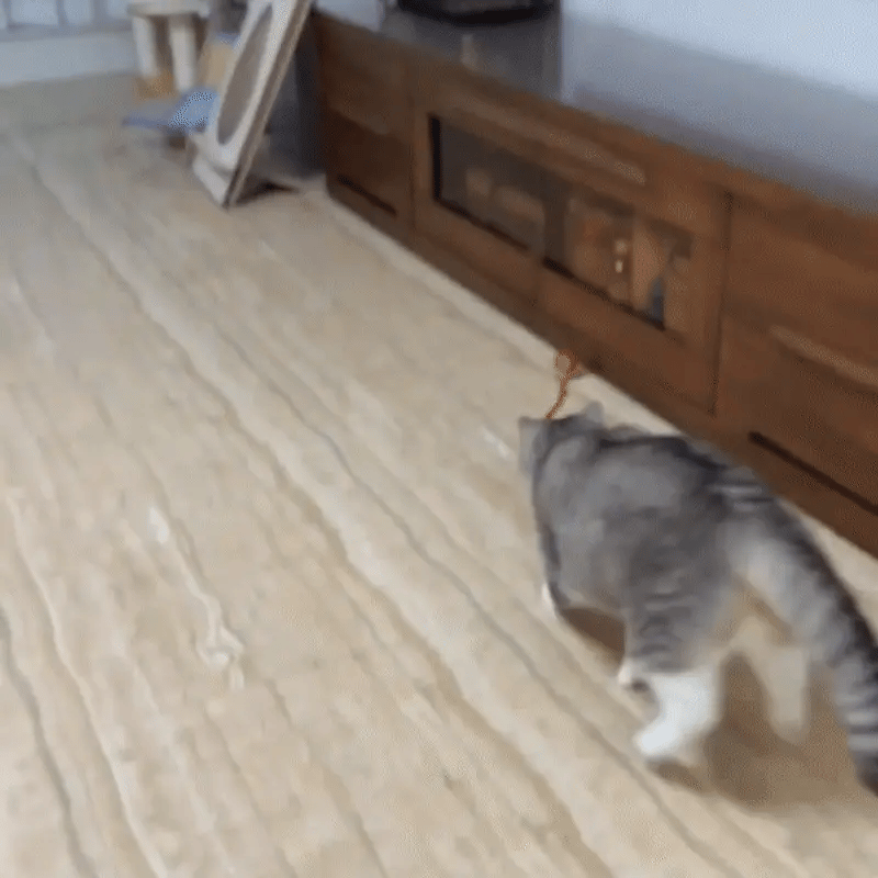 Smart Interactive Cat Ball – Rechargeable Automatic Toy