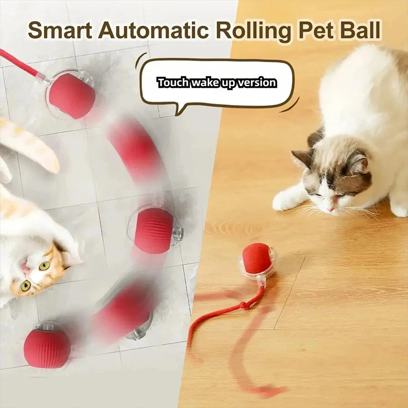 Smart Interactive Cat Ball – Rechargeable Automatic Toy