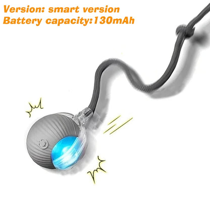 Smart Interactive Cat Ball – Rechargeable Automatic Toy