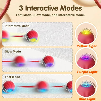 Smart Interactive Cat Ball – Rechargeable Automatic Toy