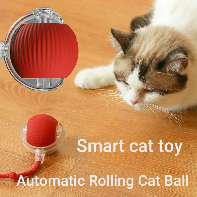 Smart Interactive Cat Ball – Rechargeable Automatic Toy