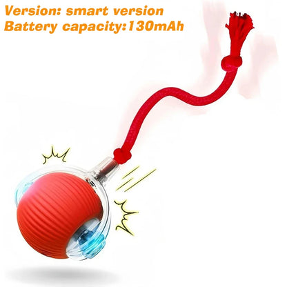 Smart Interactive Cat Ball – Rechargeable Automatic Toy