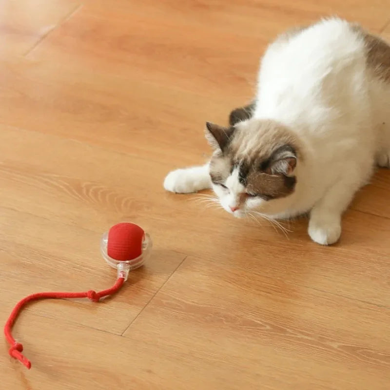 Smart Interactive Cat Ball – Rechargeable Automatic Toy