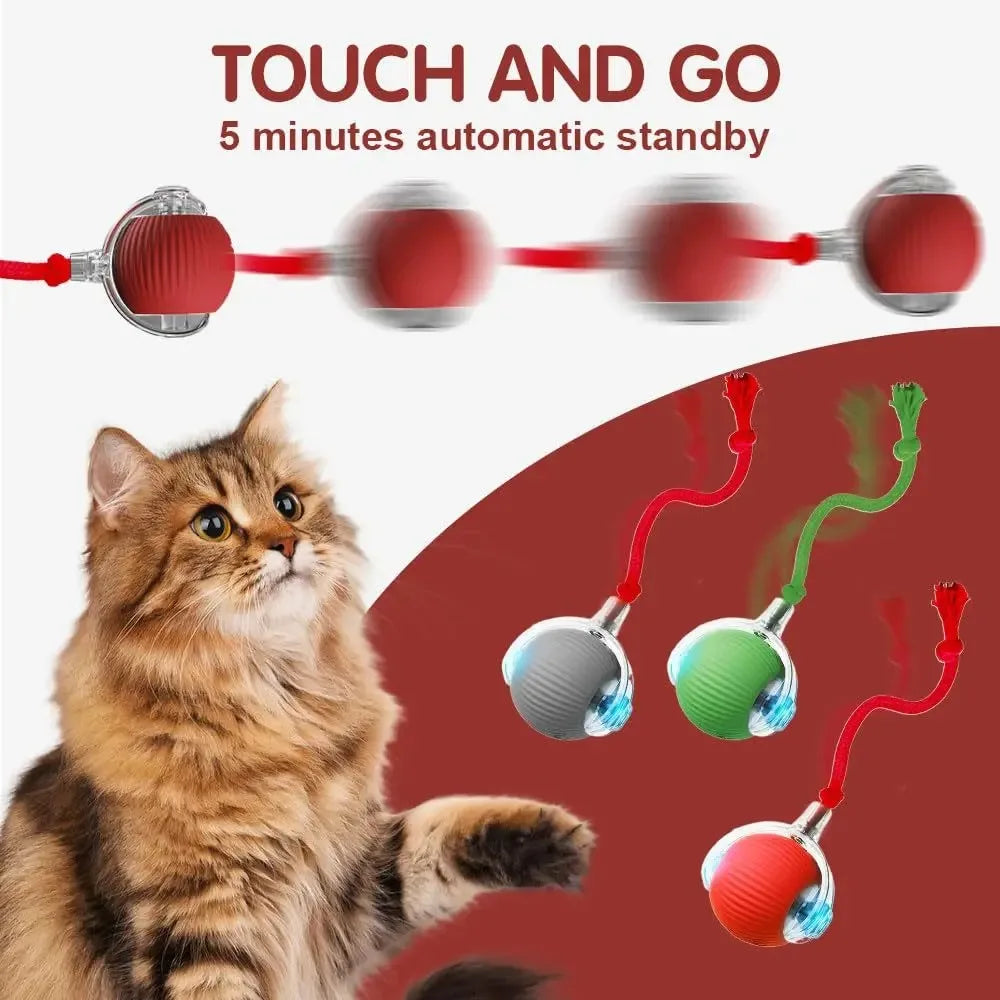 Smart Interactive Cat Ball – Rechargeable Automatic Toy
