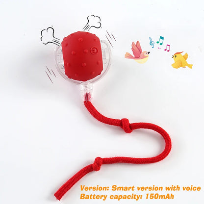 Smart Interactive Cat Ball – Rechargeable Automatic Toy