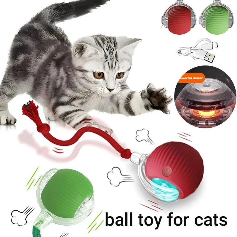Smart Interactive Cat Ball – Rechargeable Automatic Toy