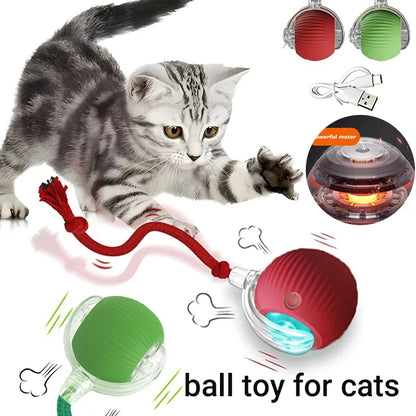 Smart Interactive Cat Ball – Rechargeable Automatic Toy