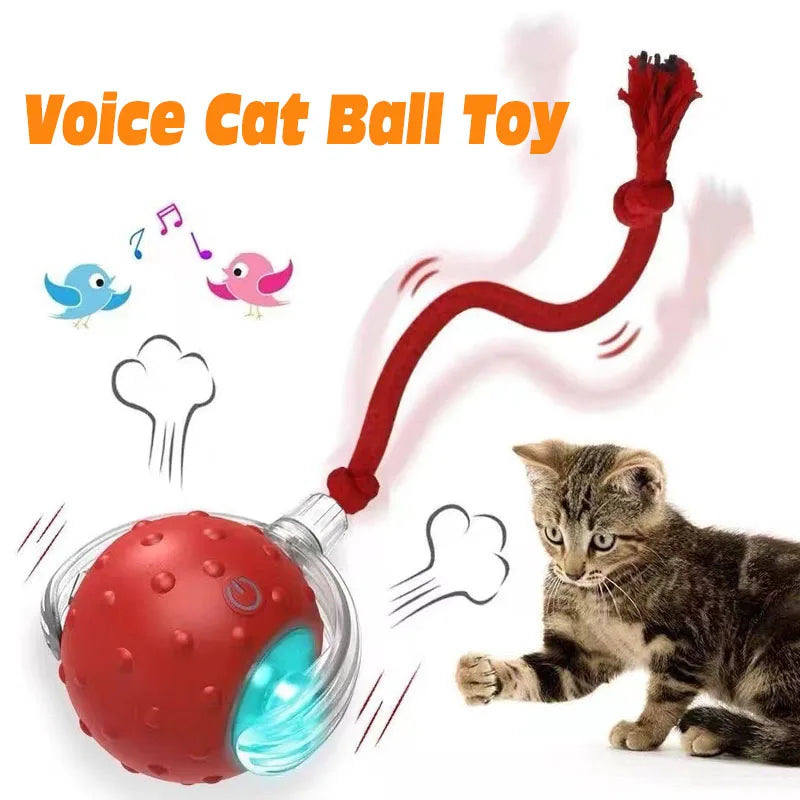 Smart Interactive Cat Ball – Rechargeable Automatic Toy