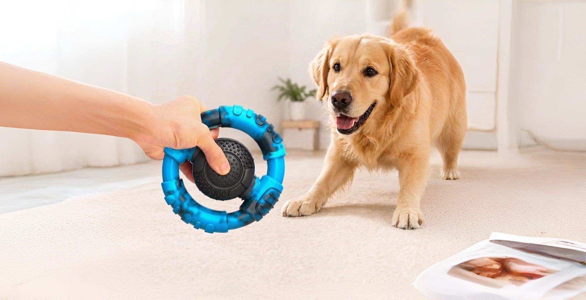 More Playtime. Less Frustration. Happier Dogs