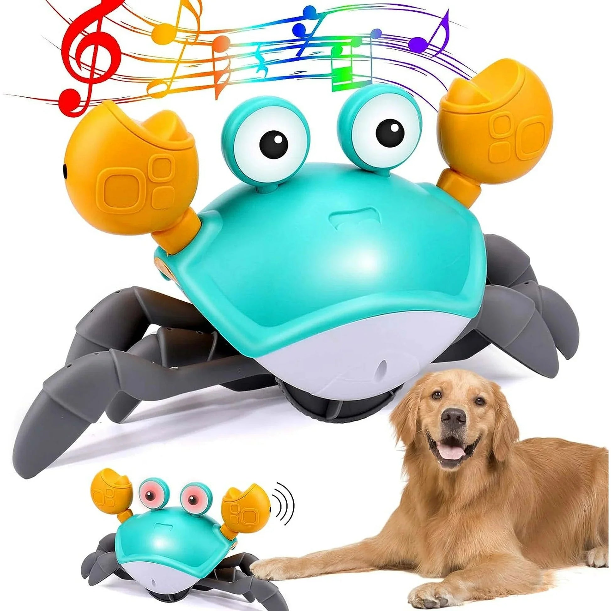 Interactive Crawling Crab Dog Toy – Engaging Play for All Breeds