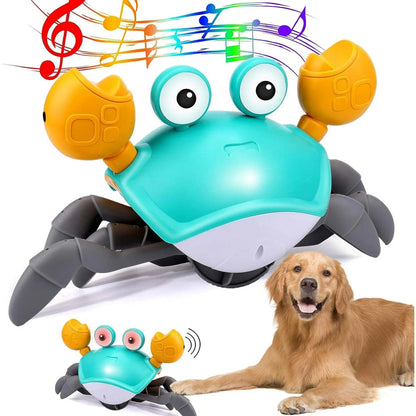 Interactive Crawling Crab Dog Toy – Engaging Play for All Breeds