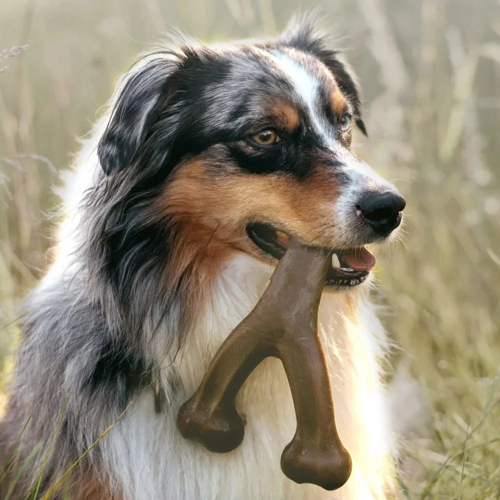 Durable Bone Dog Chew Toy for Aggressive Chewers Real Bacon Flavored Nylon Made in USA Medium Size Dog Dental Health
