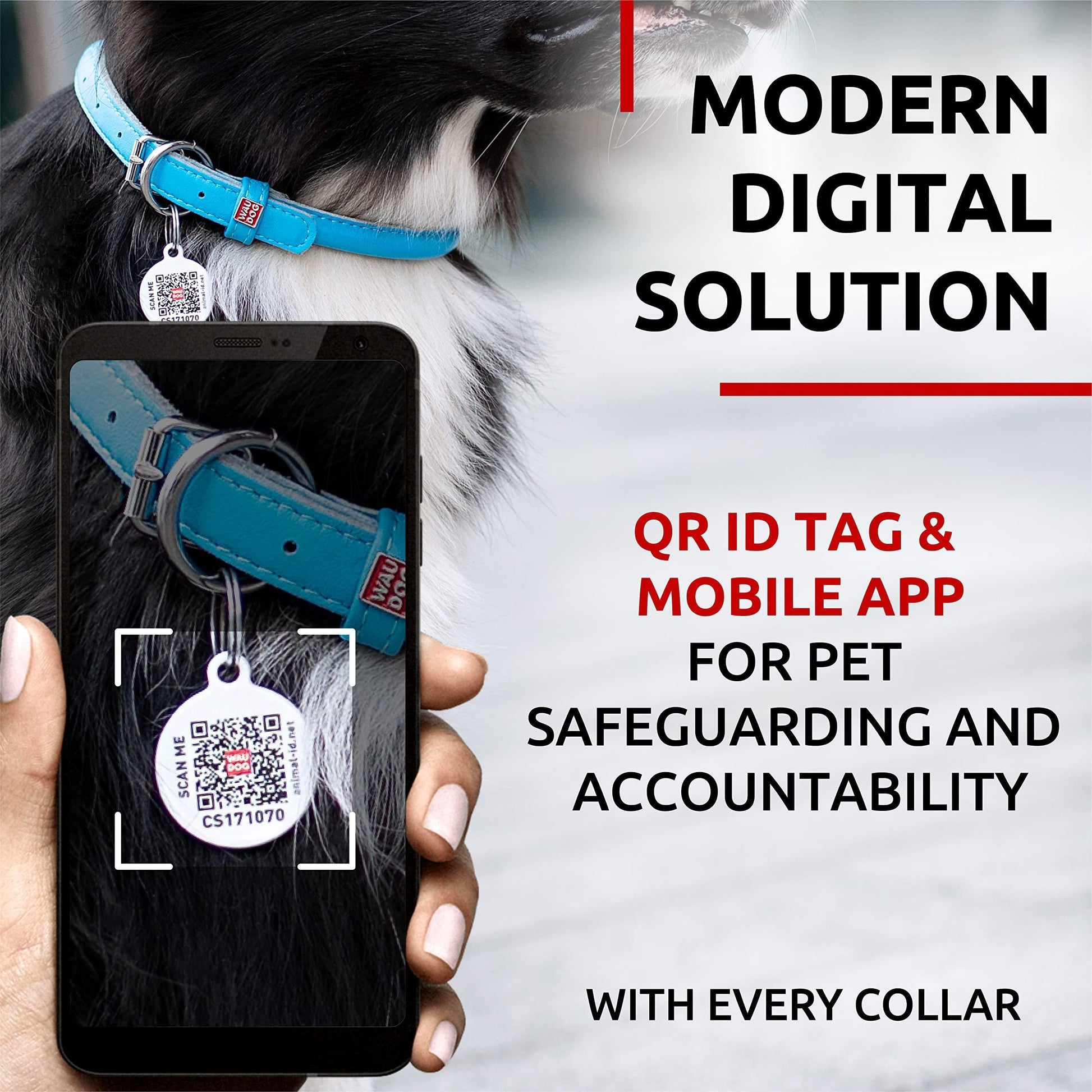 Ultra Soft Rolled Leather Dog Collar for Small Dogs Soft Padded Dog Collars