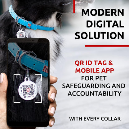 Ultra Soft Rolled Leather Dog Collar for Small Dogs Soft Padded Dog Collars