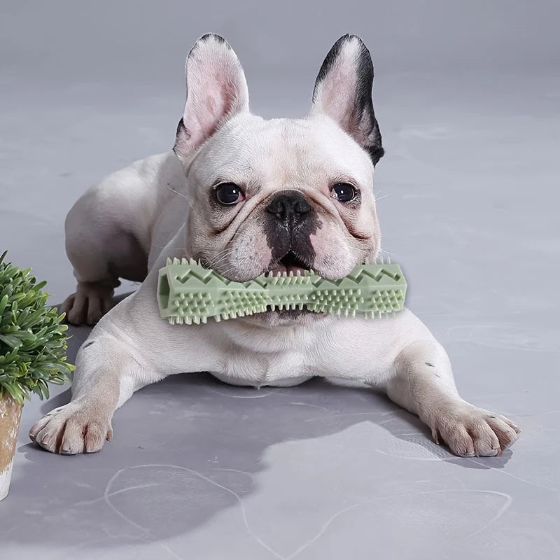 Dog Dental Chew Stick Toy – Tooth Cleaning & Gum Massage Toy for Dogs
