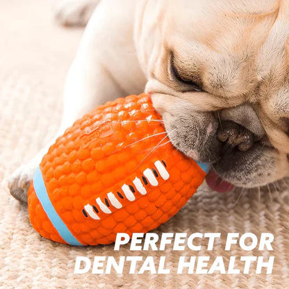 Chew Ball - Immortal Toy for Aggressive Chewers