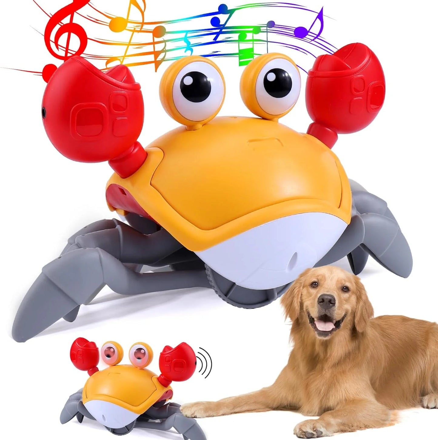 Interactive Crawling Crab Dog Toy – Engaging Play for All Breeds